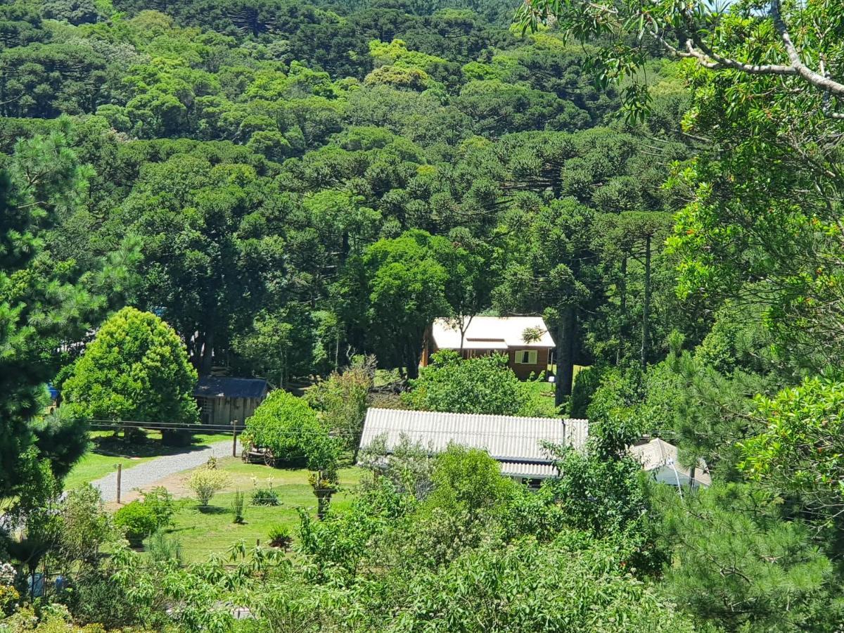 Sitio Recanto Feliz Gramado Eksteriør billede